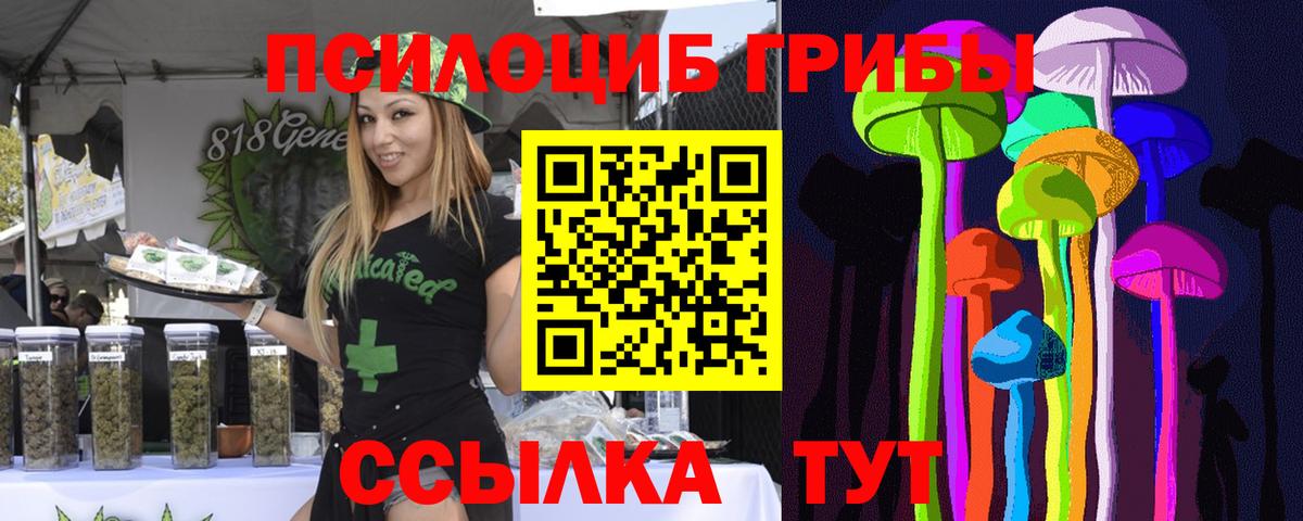 Псилоцибиновые грибы мухоморы Электрогорск