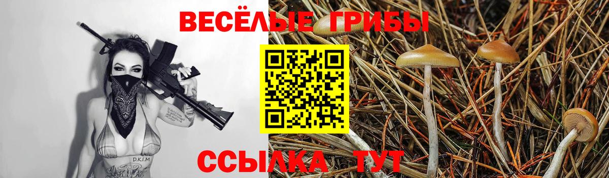 Псилоцибиновые грибы ЛСД  купить   Электрогорск  Вход с VPN 